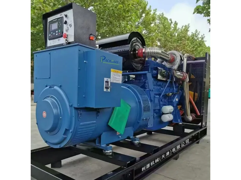 LY-DG250柴油发电机组